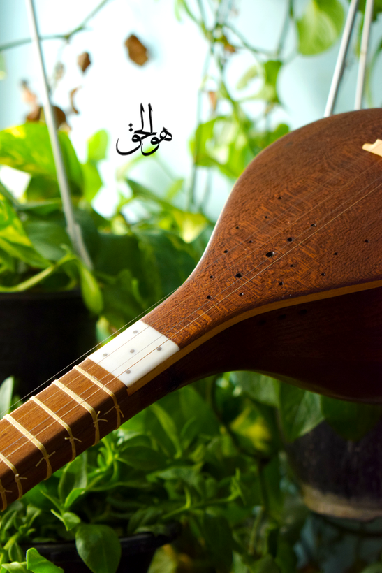 سه تار الگو حاج طایر کاسه متوسط دهانه ۱۵/۵