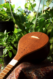سه تار الگو حاج طایر کاسه متوسط دهانه ۱۵/۵