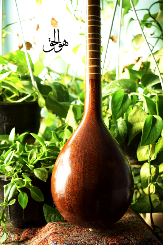 سه تار الگو هاشمی کاسه کوچک، دهانه ۱۴ (فوفل)